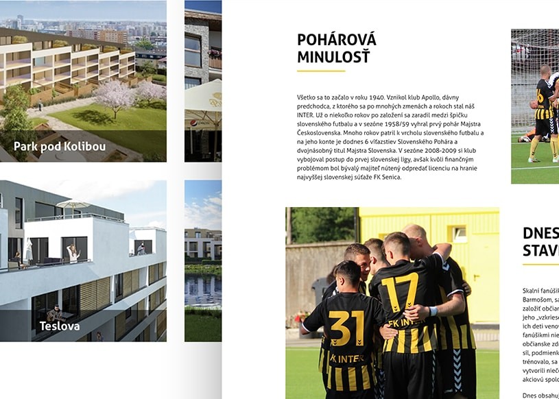 Inter Development