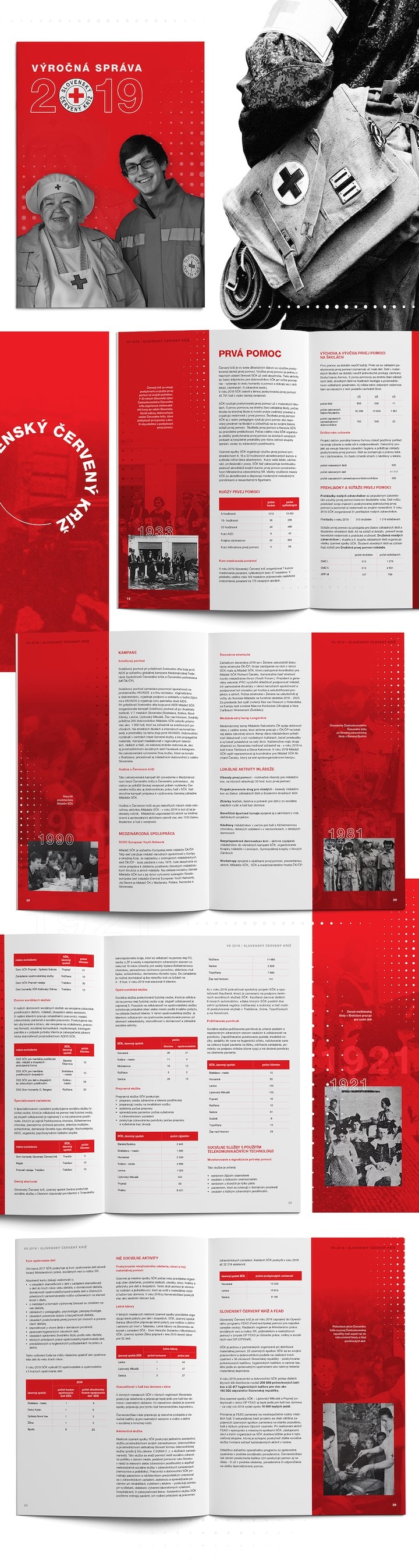 Redcross 2019