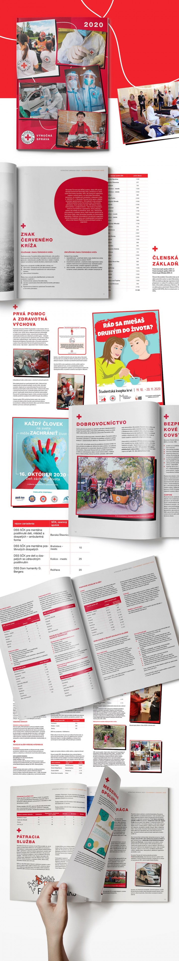 Redcross 2020